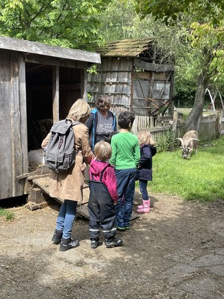 Kinder besichtigen einen Stall