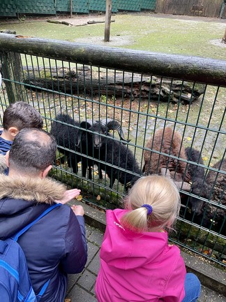 Kinder schauen sich Tiere an.