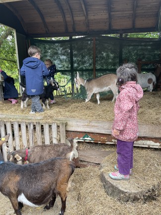 Kinder bei den Ziegen